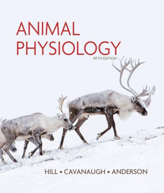 Animal Physiology  (Hardback)