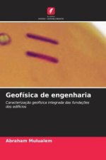Geofísica de engenharia