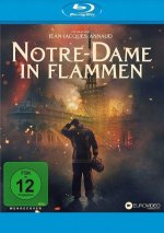 Notre Dame in Flammen