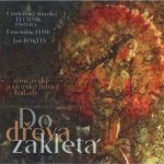 Do dřeva zakletá