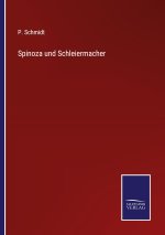 Spinoza und Schleiermacher