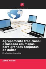 Agrupamento tradicional e baseado em mapas para grandes conjuntos de dados