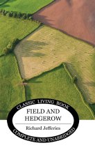 Field and Hedgerow