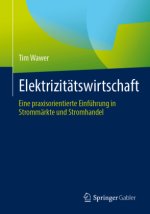 Elektrizitätswirtschaft