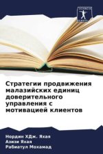 Strategii prodwizheniq malazijskih edinic doweritel'nogo uprawleniq s motiwaciej klientow