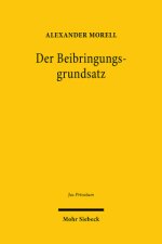 Der Beibringungsgrundsatz