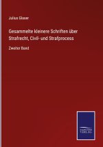 Gesammelte kleinere Schriften uber Strafrecht, Civil- und Strafprocess