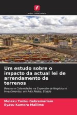 Um estudo sobre o impacto da actual lei de arrendamento de terrenos