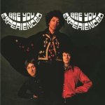 Hendrix Jimi: Are You Experienced - 2LP