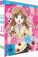 B Gata H Kei - Gesamtausgabe - Bundle - Vol.1-2 (2 Blu-rays)