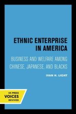 Ethnic Enterprise in America