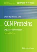 CCN Proteins