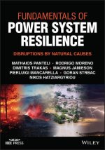 Fundamentals of Power System Resilience: Disruptio ns by Natural Causes