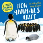 ZANY BRAINY ANIMALS HOW ANIMALS ADAPT