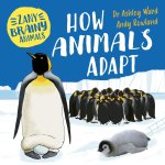 ZANY BRAINY ANIMALS HOW ANIMALS ADAPT