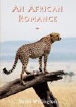 African Romance