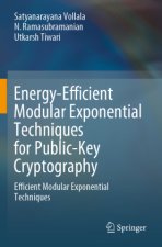 Energy-Efficient Modular Exponential Techniques for Public-Key Cryptography