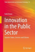 Innovation in the Public Sector