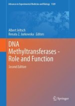 DNA Methyltransferases - Role and Function