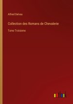 Collection des Romans de Chevalerie