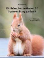 Eichhoernchen im Garten 3 / Squirrels in my garden 3