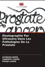 Élastographie Par Ultrasons Dans Les Pathologies De La Prostate