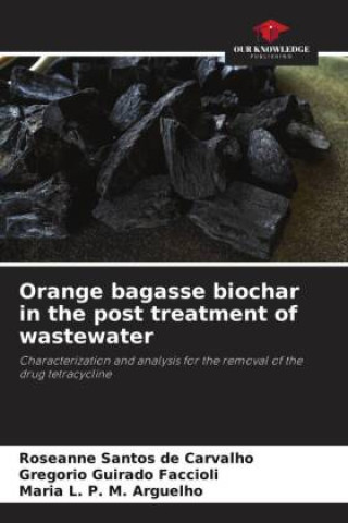 Orange bagasse biochar in the post treatment of wastewater