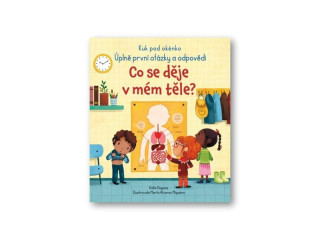 Co se dďż˝je v mďż˝m tďż˝le?