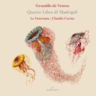 Carlo Gesualdo von Venosa: Madrigali a cinque voci Libro IV