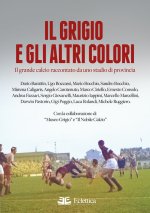 grigio e gli altri colori. Il grande calcio raccontato da uno stadio di provincia