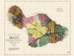Carte géographique nostalgique - Maui, îles hawaïennes