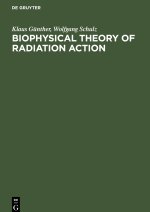 Biophysical Theory of Radiation Action