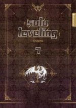 Solo Leveling Roman 07