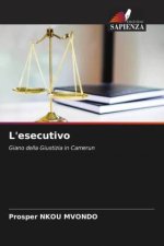 L'esecutivo