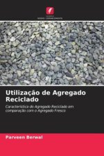 Utilizaç?o de Agregado Reciclado