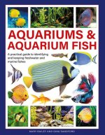 Aquariums & Aquarium Fish: A Practical Guide to Identifying and Keeping Freshwater and Marine Fishes