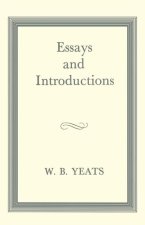 Essays and Introductions