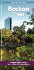 Boston Trees: A Waterproof Folding Guide to Familiar Trees
