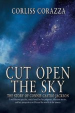 Cut Open the Sky