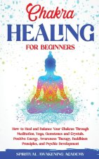 Chakra Healing for Beginners