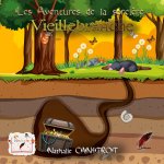 Les aventures de la sorci?re Vieillebranche Tome 5