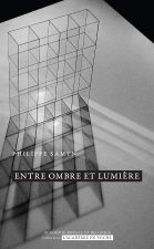 Entre ombre et lumière, transparence et reflet