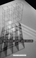 Between light and shade, transparency and reflection