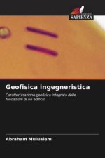 Geofisica ingegneristica