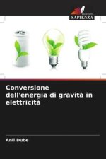 Conversione dell'energia di gravit? in elettricit?