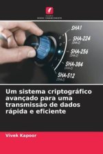 Um sistema criptográfico avançado para uma transmiss?o de dados rápida e eficiente