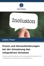 Praxis und Herausforderungen bei der Umsetzung des integrativen Ansatzes