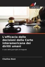 L'efficacia delle decisioni della Corte interamericana dei diritti umani