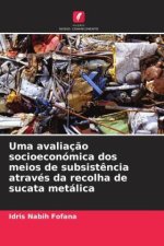 Uma avaliaç?o socioeconómica dos meios de subsist?ncia através da recolha de sucata metálica