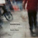 Gard Nilssen, Acoustic Unity: Elastic Wave